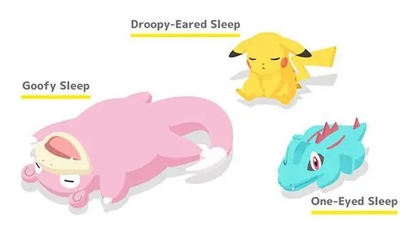 宝可梦sleep截图2