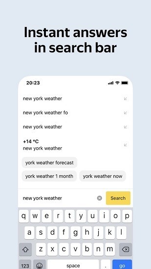 Yandex Browser截图1