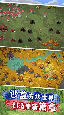 沙盒像素3D截图1