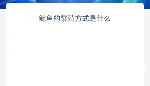 鲸鱼的繁殖方式是什么