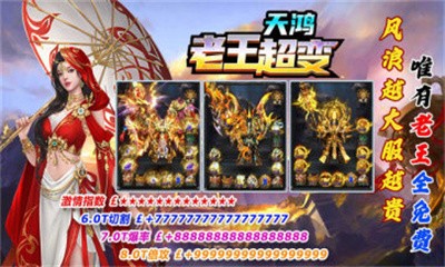 天鸿老王超变传奇截图4