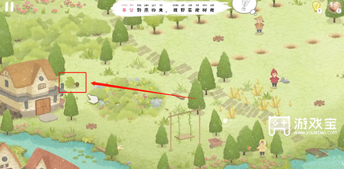 四季之春树苗在哪里