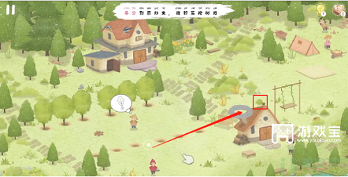 四季之春树苗在哪里