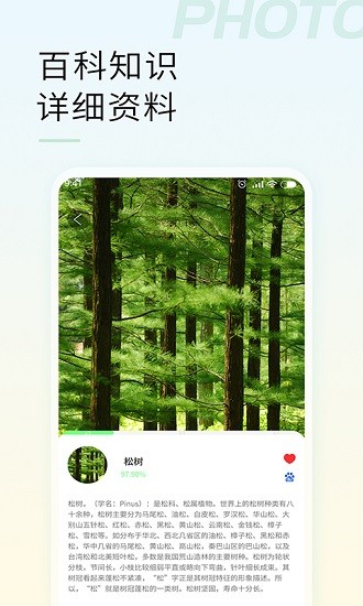 智能拍照识物截图4