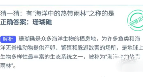 神奇海洋今日答案5.4是什么