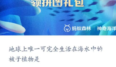 神奇海洋今日答案5.5是什么