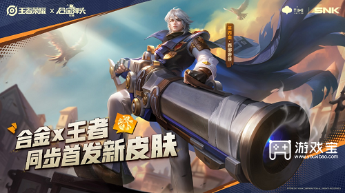 王者荣耀莱西奥西部游侠多少钱