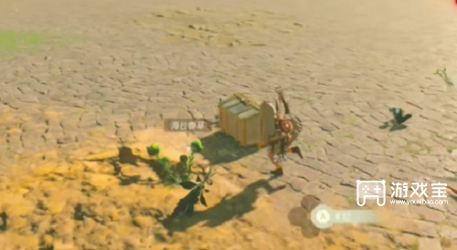 塞尔达传说王国之泪黄昏之光弓怎么获得