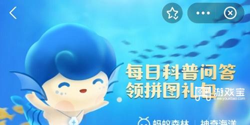 神奇海洋今日答案5.11是什么