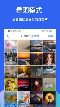 Alook浏览器纯净版截图4