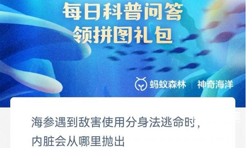 神奇海洋今日答案5.29是什么