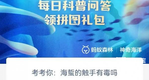 考考你海蜇的触手有毒吗