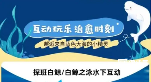 亚特兰蒂斯体型最大员工是谁