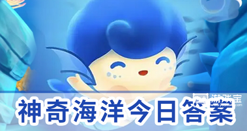 被称为仙女虾的海洋动物是什么