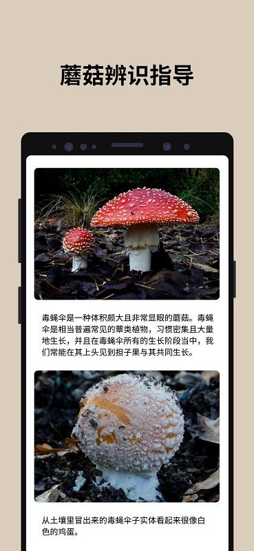 蘑菇识别扫一扫截图2