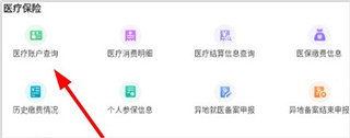 内蒙古人社养老金认证app