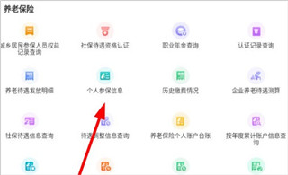 内蒙古人社养老金认证app