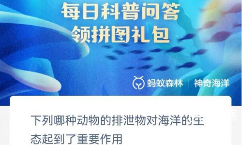 下列哪种动物的排泄物对海洋的生态起到了重要作用