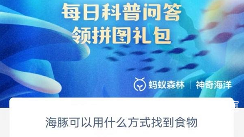 海豚可以用什么方式找到食物