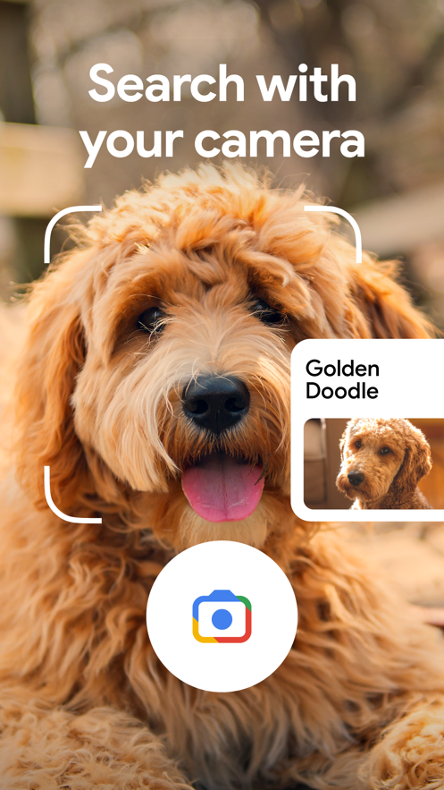 谷歌搜索app截图3