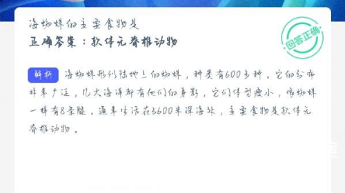 海蜘蛛的主要食物是