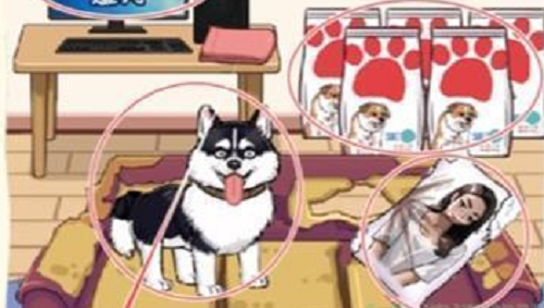 看你怎么秀大学生遛狗怎么过