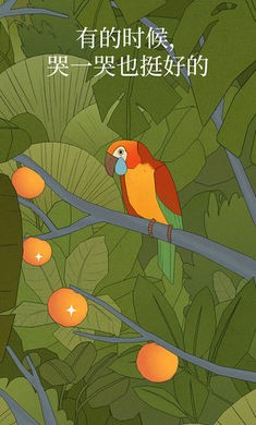 孤独的鸟儿截图5