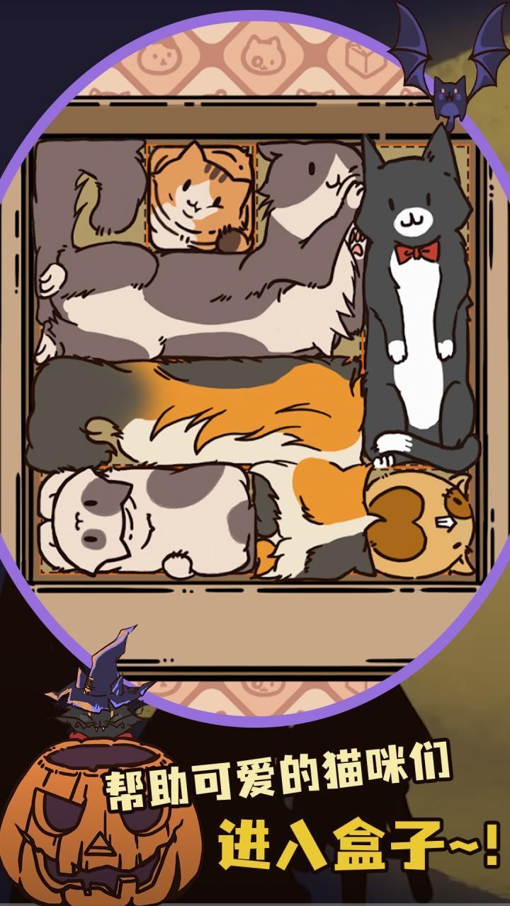 盒子猫截图1