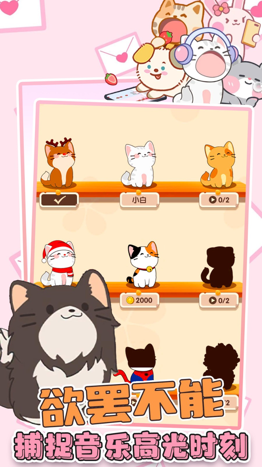 猫咪音乐双重奏截图4