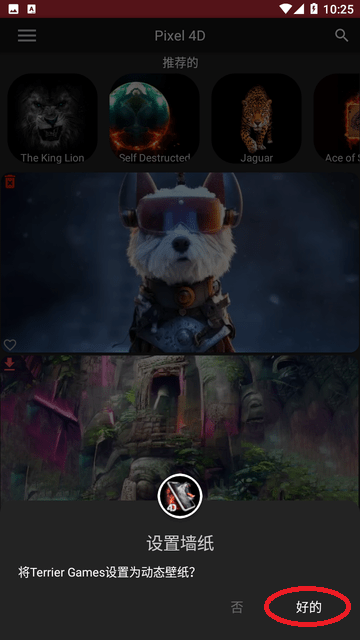 Pixel 4D动态壁纸