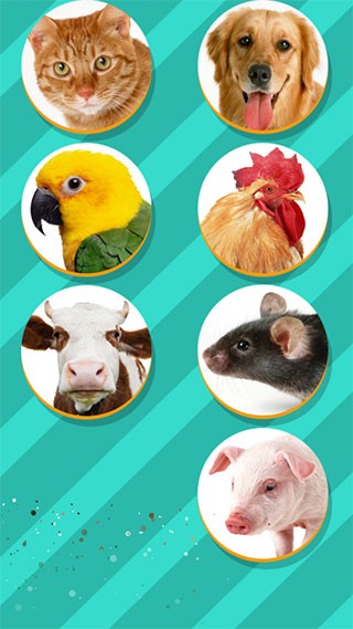 宠物对话翻译器截图2