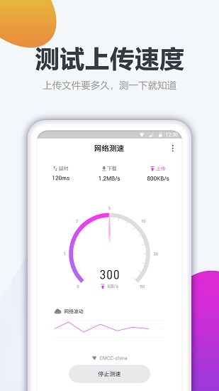 测网速大师截图3