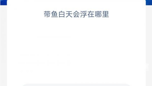 带鱼白天会浮在哪里