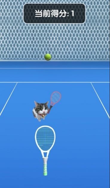 猫咪网球截图1