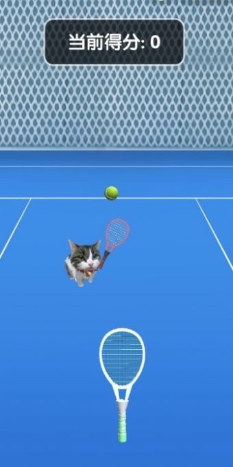 猫咪网球截图4