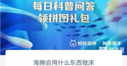 海獭会用什么东西做床