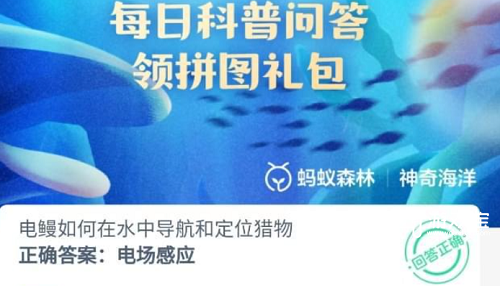 电鳗如何在水中导航和定位猎物