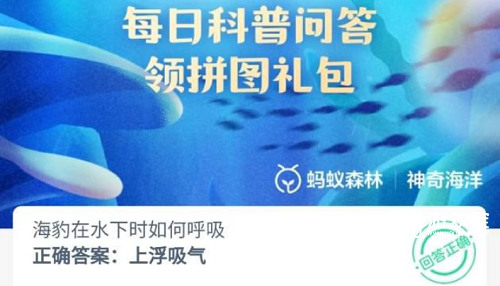 海豹在水下时如何呼吸