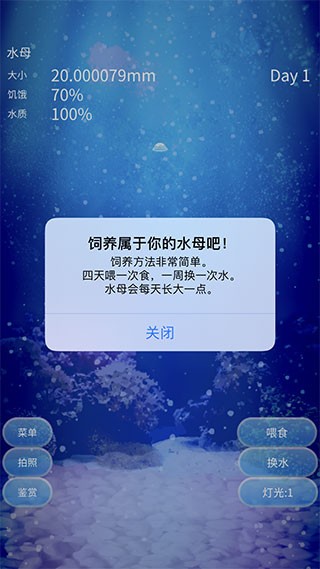 养育水母的治愈游戏中文版截图3