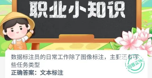 数据标注员的日常工作除了图像标注主要还有哪些任务类型