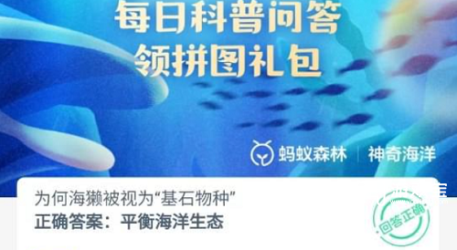 为何海獭被视为基石物种
