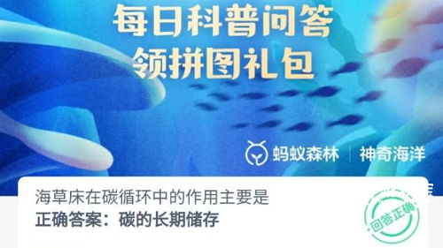 海草床在碳循环中的作用主要是什么