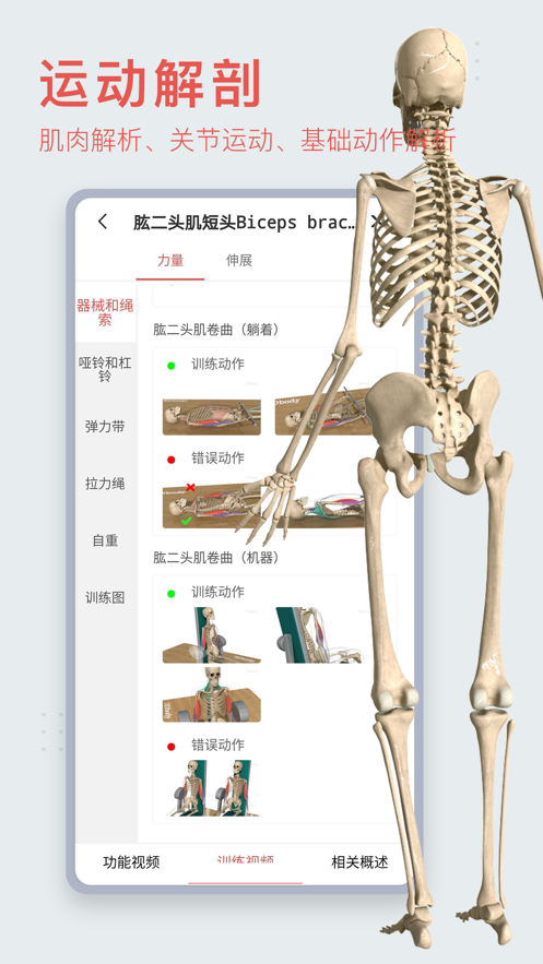 3Dbody解剖软件截图5