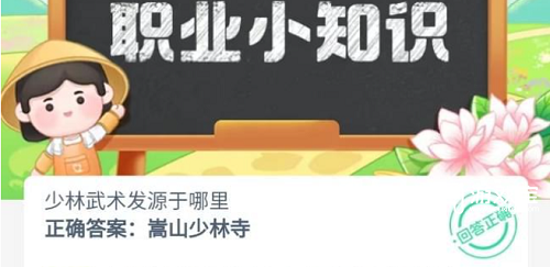 少林武术发源于哪里