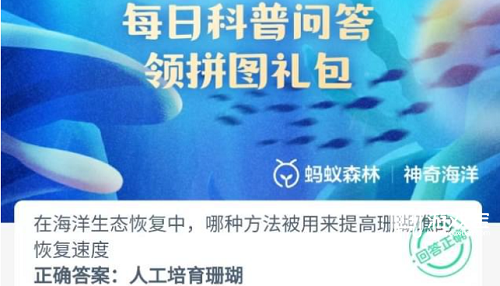 在海洋生态恢复中哪种方法被用来提高珊瑚礁的恢复速度
