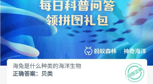 海兔是什么种类的海洋生物