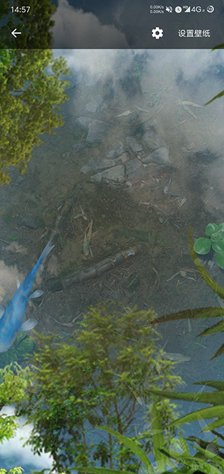 鱼池动态壁纸截图3