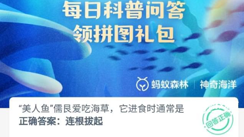 美人鱼儒艮爱吃海草它进食时通常是怎么样吃