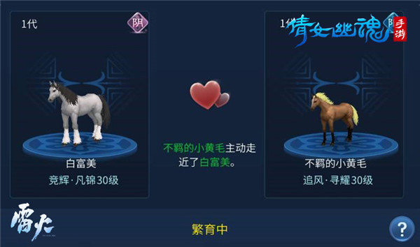 倩女幽魂网易手游