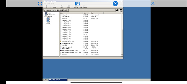 植物大战僵尸1贝塔版